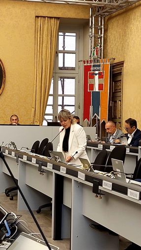 L'assessore Chiarelli L'assessore Chiarelli