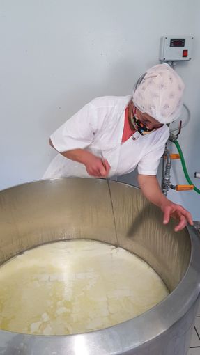 Un viaggio nel mondo del formaggio di capra, dove il rispetto per l’ambiente e per gli animali sposa tradizione e innovazione Un viaggio nel mondo del formaggio di capra, dove il rispetto per l’ambiente e per gli animali sposa tradizione e innovazione