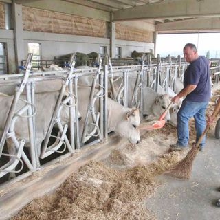 Dai cantieri, alle tavole, ai vaccini: i numeri della prevenzione in Piemonte