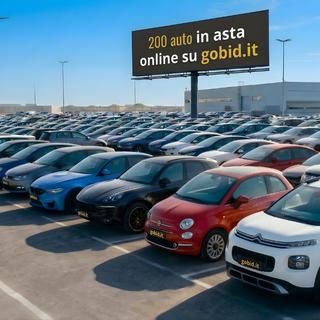 Sotto la Mole la maxi-asta da 200 auto multi-brand: Soluzioni per ogni esigenza su Gobid.it