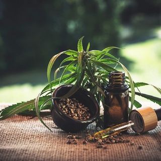 Olio di CBD: tutto quello che c’è da sapere questo integratore naturale