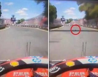 Gp Montreal, Hamilton investe una marmotta. Poi i problemi ai freni - Il video Gp Montreal, Hamilton investe una marmotta. Poi i problemi ai freni - Il video