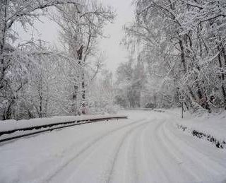 Bimbo lasciato a piedi dal bus, autista chiede scusa. Genitori: "La questione è chiusa" Bimbo lasciato a piedi dal bus, autista chiede scusa. Genitori: "La questione è chiusa"