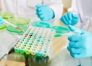 Studi no profit, nasce l'alleanza tra Fondazione Veronesi e Ficog