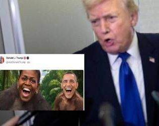 Video razzista con gli Obama, Trump condanna ma non si scusa: "Non l'avevo visto" Video razzista con gli Obama, Trump condanna ma non si scusa: "Non l'avevo visto"