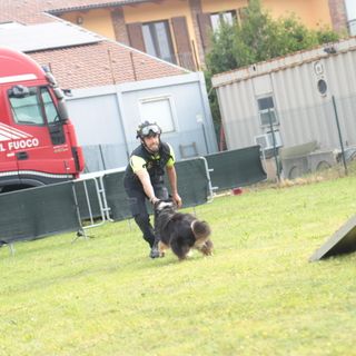 Ricerche sotto le macerie, dall’Aquila a Rigopiano: ora i cani di Volpiano hanno una scuola rinnovata [VIDEO]