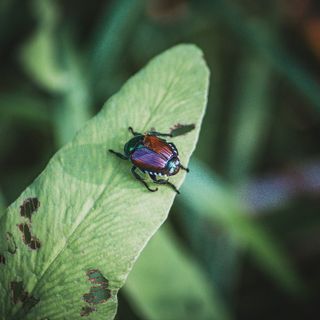 Foto di Richie Bettencourt - tamite Unsplash