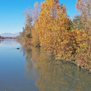 Oltre 2 milioni di euro per la forestazione urbana di Chivasso