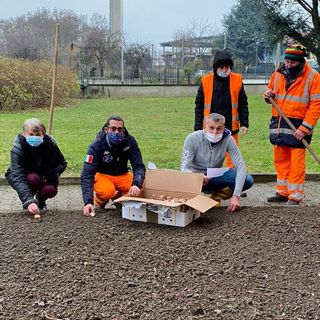 Messer tulipano arriva anche al parco di Crescentino