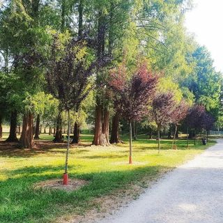Mercoledì 9 si svolgerà la Fiera Agricola del Beato Angelo Carletti al Parco Mauriziano