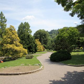 Ha un infarto mentre fa jogging al parco del Valentino: l'ambulanza rimane bloccata dai dissuasori