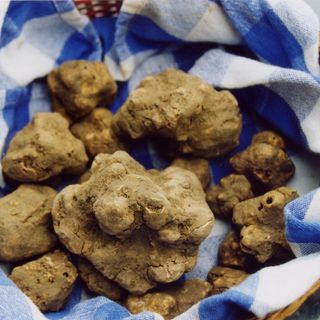 A Montiglio Monferrato torna la Fiera del Tartufo