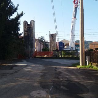 Alcuni momenti dell'abbattimento