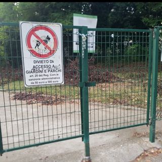 Cade un albero: il sindaco chiude il parco degli Alpini