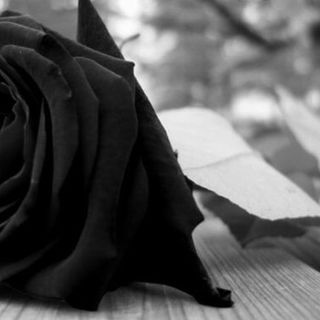 Scomparso da due settimane. Lo trovano morto in casa