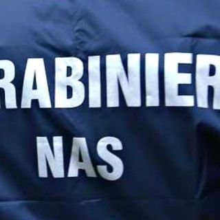 Escrementi di topo sugli scaffali: chiuso bar nella centralissima via pedonale di Chivasso