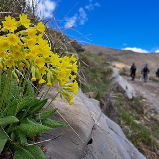 Il Parco Alpi Liguri partecipa con un calendario ricco di eventi per il “Maggio dei Parchi della Liguria”: ecco tutte le info