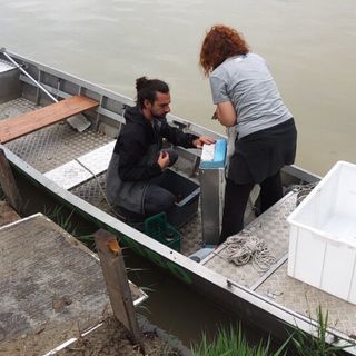 Microplastiche nel Po, a Chivasso l'iniziativa 'Manta River'