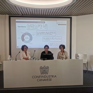 Il Canavese archivia un 2024 difficile, ma Confindustria intravede segnali di ripresa