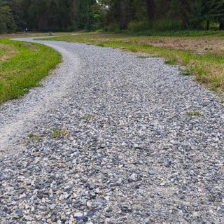 In Piemonte 8 milioni per tutelare la biodiversità naturale: interventi a Chivasso e Rivoli