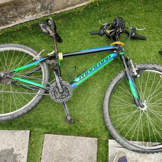 A Marentino i cinghiali disarcionano un ciclista di 13 anni: ricoverato in ospedale