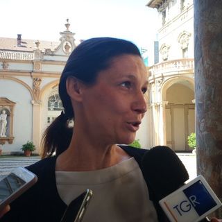 Affidi, Caucino: &quot;Spostiamo i soldi per darli direttamente alle famiglie. Non prendo lezioni da donne senza figli&quot;. Il Pd: &quot;A chi si riferisce?&quot;