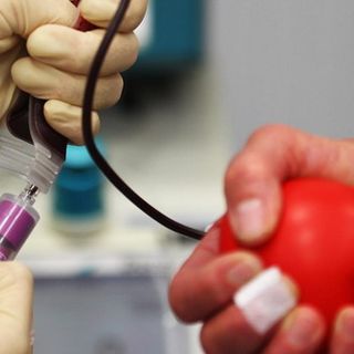 Manca il personale: a rischio le donazioni del sangue in Piemonte. Icardi: &quot;Stiamo attivando un progetto pilota&quot;