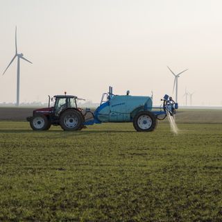 fertilizzanti sintetici