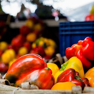 Grande serata alla Fiera del Peperone di Carmagnola con il cabaret di Paolo Franceschini