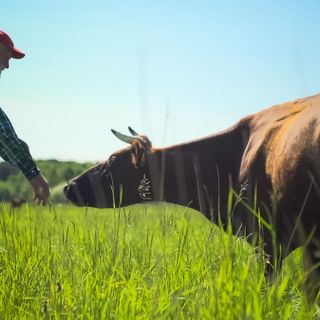 Cinemambiente torna in Valchiusella a braccetto con Slow Food: &quot;Valorizziamo le comunità locali&quot;