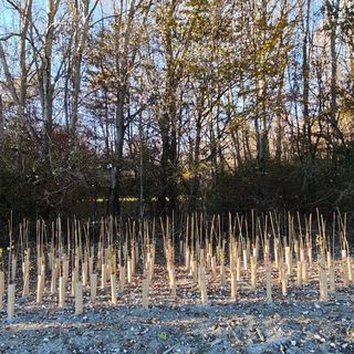 Immagine di repertorio