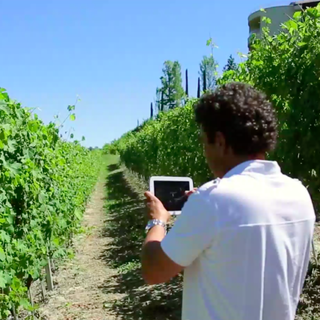 3A porta l'innovazione nei controlli di qualità dei dati meteorologici: "Fondamentale il supporto di Cdo e Camera"