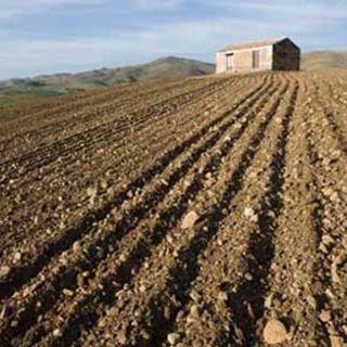 siccità e agricoltura