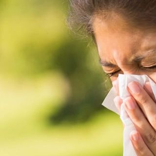 Piemonte: il caldo e la siccità fanno esplodere precocemente le reazioni allergiche ai pollini