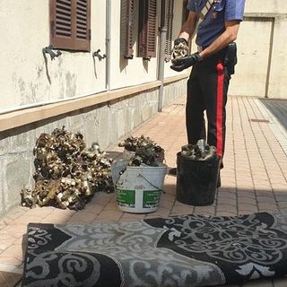Furto in un'azienda a Leini: tre persone finiscono in manette