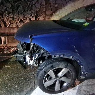 L'auto distrutta dall'impatto con i cinghiali