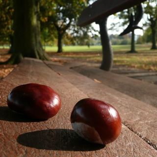 Meteo, ecco su Torino e provincia le piogge che ci riportano in autunno