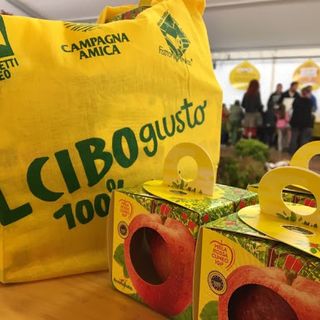 sacchetti della spesa