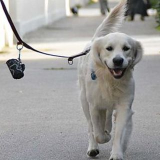 Immagine di archivio