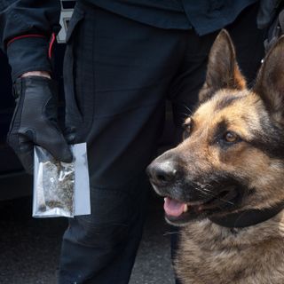 Feletto, spacciatore arrestato in casa: nell'abitazione nascondeva stupefacenti e quasi 4mila euro in contanti