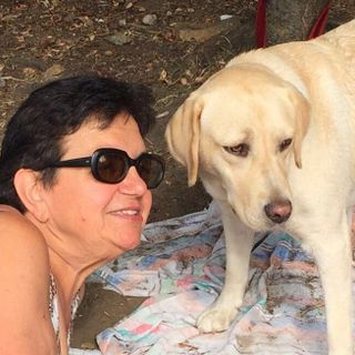 Un cane guida di Ivrea si aggiudica il “Premio Internazionale Fedeltà del Cane” di San Rocco di Camogli