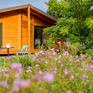 Casette in legno da giardino: come installarne una?