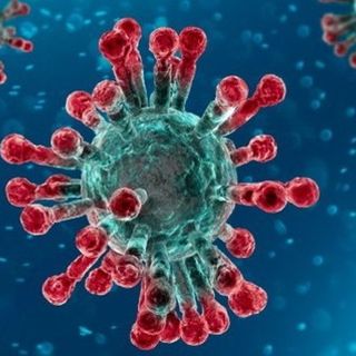 Coronavirus in Piemonte: nessun decesso nella giornata di oggi, altri 17 guariti
