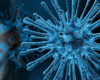 Coronavirus