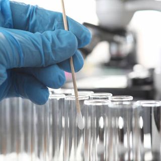 Covid, in Piemonte forte crescita solo nei bambini tra 6 e 10 anni