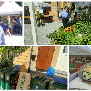 Collage di foto di un evento pubblico all'aperto