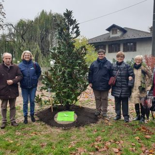 Celebrata a Chivasso la Giornata nazionale degli Alberi