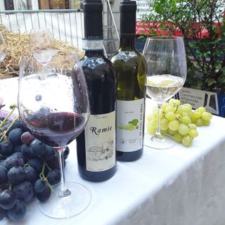 Diverse le proposte di Coldiretti presentate a Palazzo Chigi per sostenere il comparto