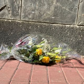 fiori alla stazione di brandizzo