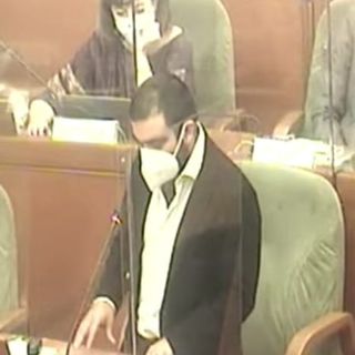 Marco Grimaldi